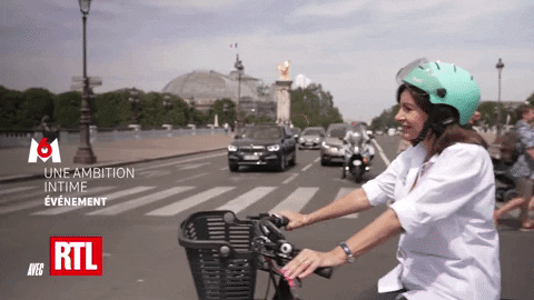 France Paris GIF by Parti socialiste - Find & Share on GIPHY