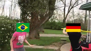 brazil germany GIF
