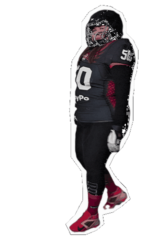 Football Ame Sticker by Warsaw Sirens
