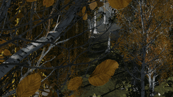 Tree GIF