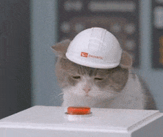 Cat Button GIFs - Get the best GIF on GIPHY