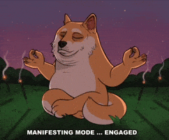 Relaxed No Drama GIF by Doge Pound