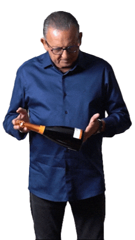 Wines Vinhos Sticker by Galvão Bueno