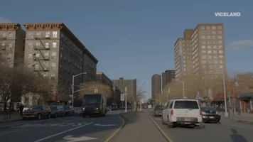 viceland GIF by MY HOUSE