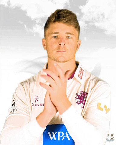 Clapping Applause GIF by Somerset County Cricket Club
