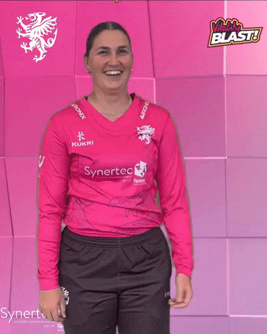 T20 Vitality Blast GIF by Somerset County Cricket Club