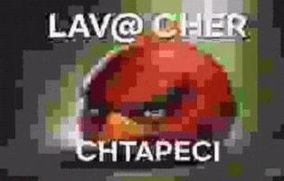 Angry Birds Armenia GIF by Infernal Records