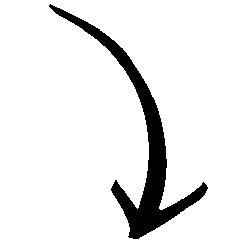 Arrows Sticker by Bedhead Hats