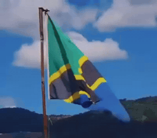 Tanzania GIF
