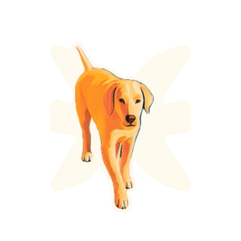 Pets Swap Sticker by HomeExchangeCom