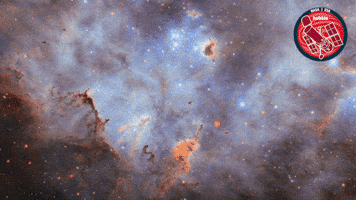 Deep Space Stars GIF by ESA/Hubble Space Telescope