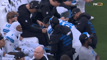 Happy Nfl GIF by Detroit Lions