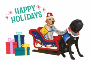 Dog Christmas GIF by Canine Companions