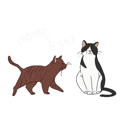 Actafabulaest Sticker by Lauranne leest