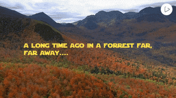 https://media1.giphy.com/media/ngE1FcFmuReW4/200.gif