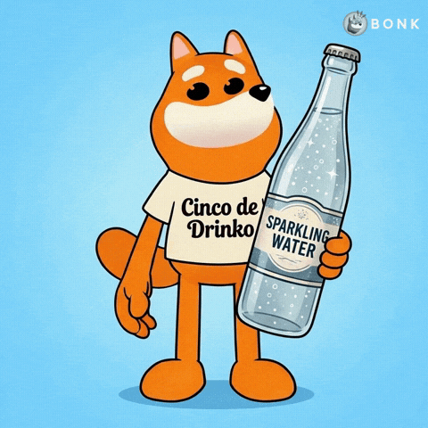 Sparkling Water Bottle Celebrates GIF by BONK