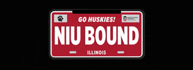 Niu Go Huskies GIF by Northern Illinois University