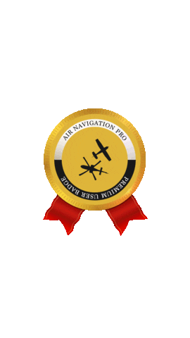 Winner Flying Sticker by Air Navigation Pro