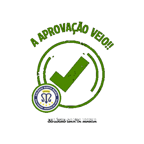 Aprovados Sticker by Colégio Santa Maria