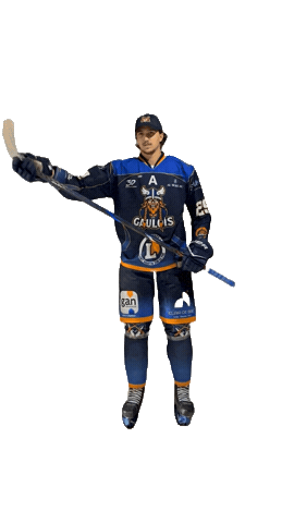Celebration Goal Sticker by Hockey Club Châlonnais