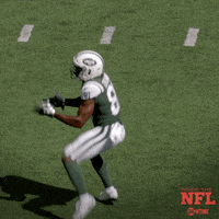 Miami Dolphins Sport GIF by SHOWTIME Sports