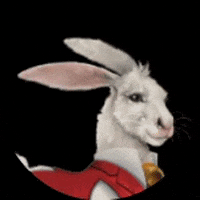 Alice In Wonderland Ubisoft GIF by Owlient