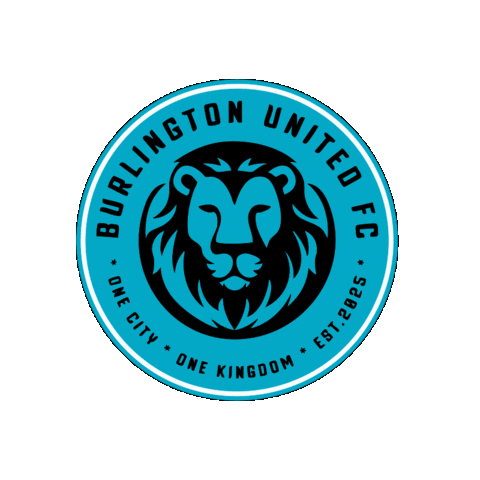 Burlington Sticker by Diaza Football