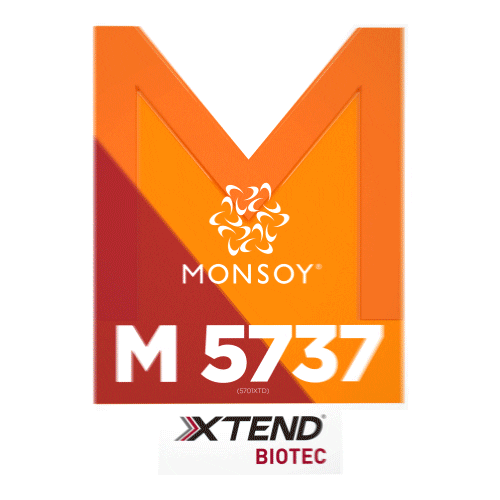 Monsoy Sticker by intactarr2pro