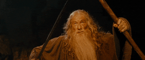  lotr lord of the rings gandalf you shall not pass GIF