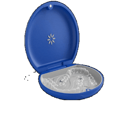 Diamond Braces Sticker