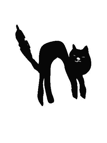 Cat Sticker