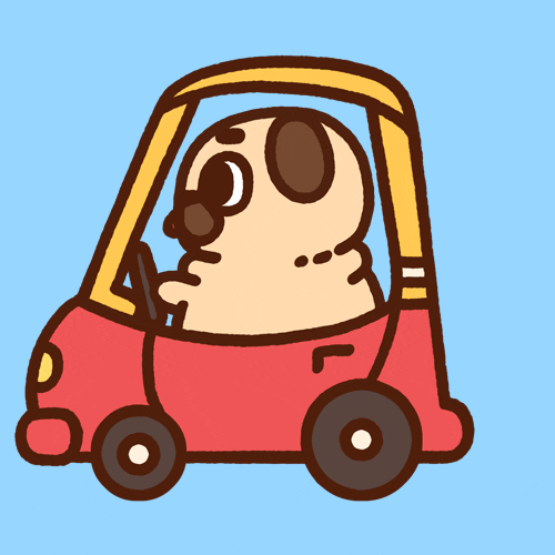 Kawaii gif. Puglie the pug driving a red and yellow Little Tykes car.