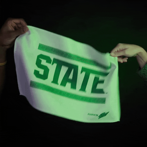 Celebration Wave The Flag GIF by Michigan State Athletics