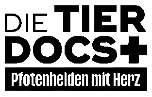 Dtd25 Sticker by JustFriends