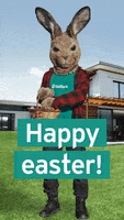 Easter Bunny GIF by Vaillant
