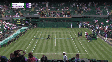 raining tennis court GIF by Wimbledon