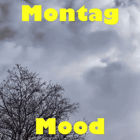 Mood Baustelle GIF by Klenk und Meder