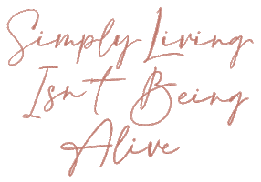 Travel Tryon Sticker by LivingLesh