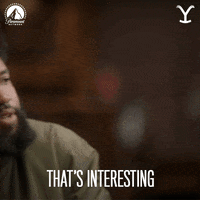Thats Interesting GIF by Yellowstone