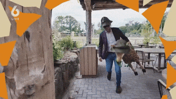 De Oranjezomer GIF by Vandaag Inside