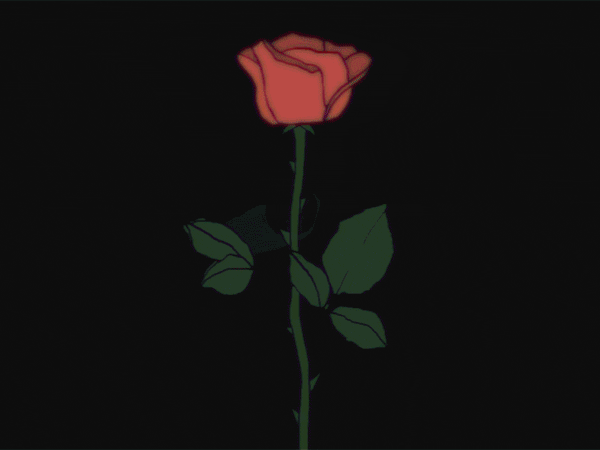 Roses Are Red GIFs - Find & Share on GIPHY