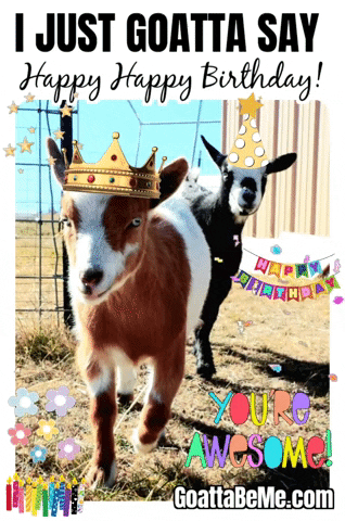 Celebrate Happy Birthday GIF by Goatta Be Me Goats! Adventures of Pumpkin, Cookie and Java!