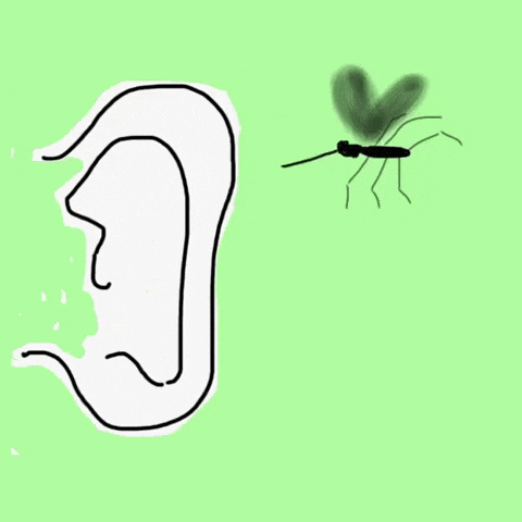Mosquito Annoy Me GIF by Barbara Pozzi