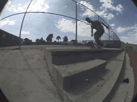 GIF by Shieldless Magazine