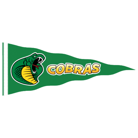 Cobras Sticker by Parkland College