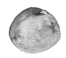 Auranuda Sticker