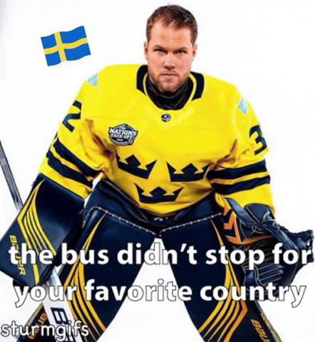 Minnesota Wild Hockey GIF