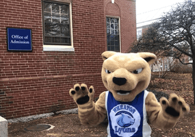 excited mascot GIF by Wheaton College (MA)