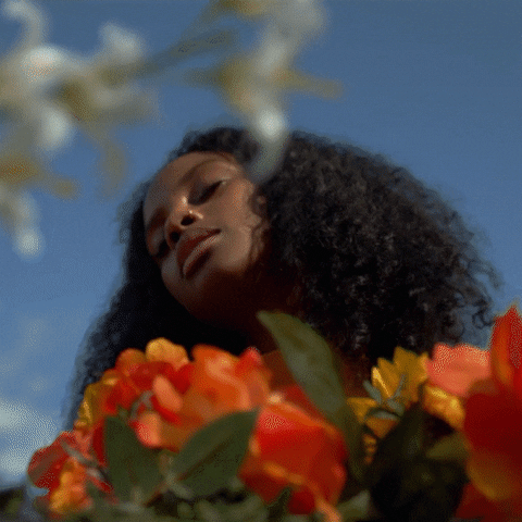Fana Hues GIF