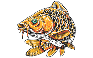 Fly Carp Sticker